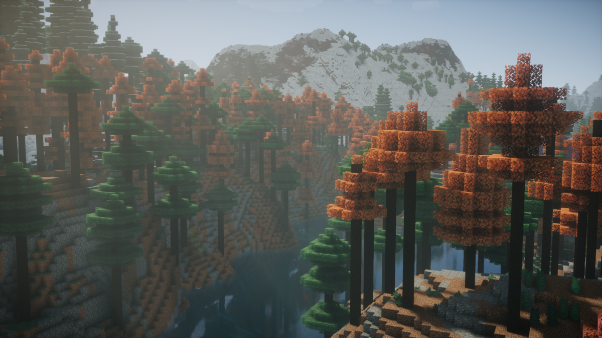 Siberian_taiga_4